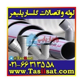 زانو ۹۰ درجه پلیکا ستاره — ستاره گلپایگان