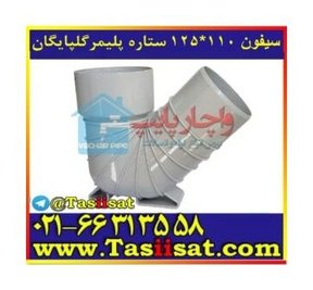 سیفون پلیکا ستاره — ستاره گلپایگان